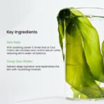 Refreshing Sea Kelp Real Deep Mask- 2 Box 8 pcs - Image 3